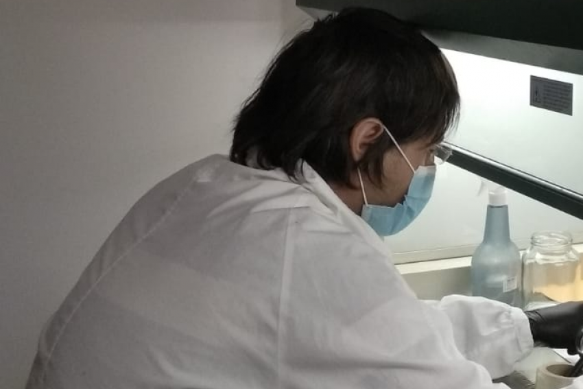 Bienvenida a Gepian BIO NORTE 