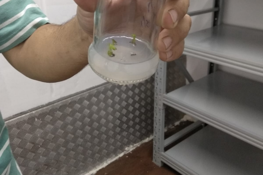 Bienvenida a GEpian BIO NORTE 